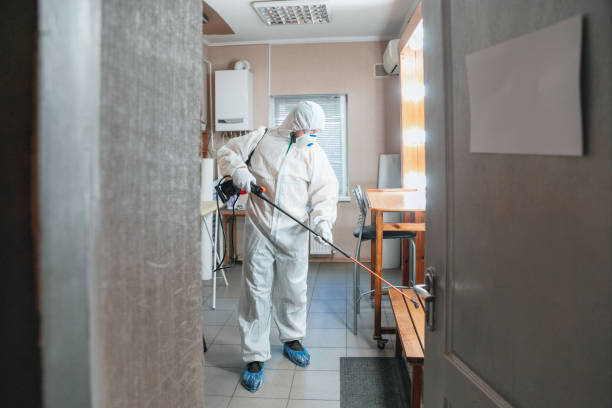 Best Biohazard Mold Removal  in Fairbank, IA
