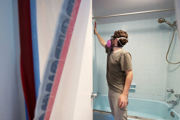Best Comprehensive Air Testing for Mold Contaminants  in Fairbank, IA