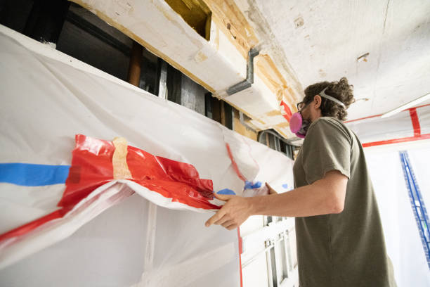 Fairbank, IA Mold Removal Company