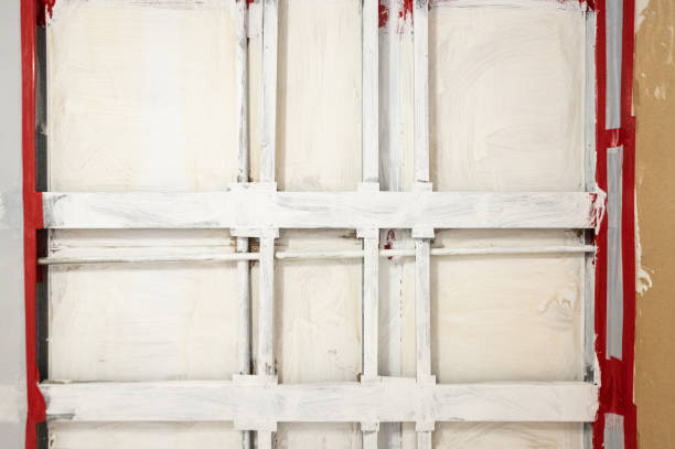 Best Black Mold Removal  in Fairbank, IA