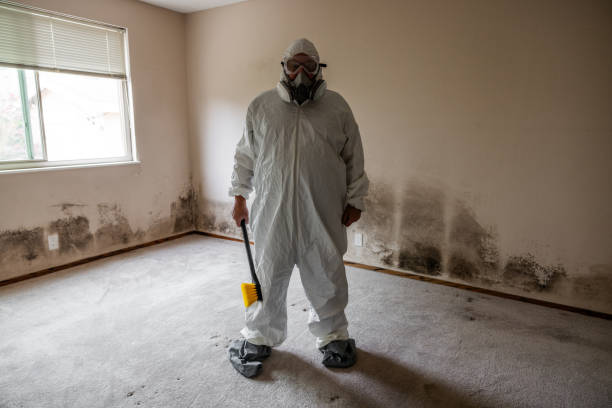 Best Forensic Mold Investigation  in Fairbank, IA
